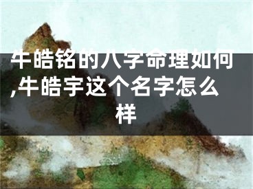 牛皓铭的八字命理如何,牛皓宇这个名字怎么样