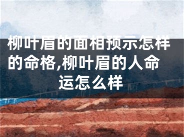 柳叶眉的面相预示怎样的命格,柳叶眉的人命运怎么样