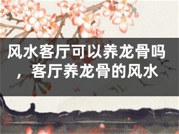 风水客厅可以养龙骨吗，客厅养龙骨的风水