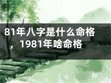 81年八字是什么命格，1981年啥命格