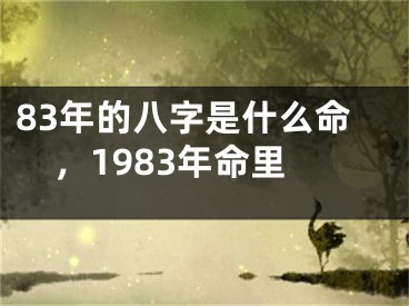 83年的八字是什么命，1983年命里