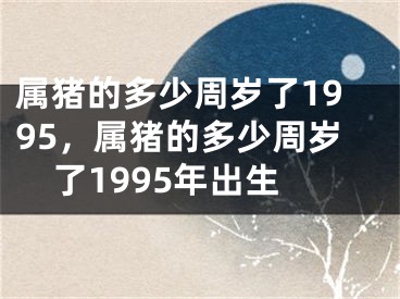 属猪的多少周岁了1995,属猪的多少周岁了1995年出生