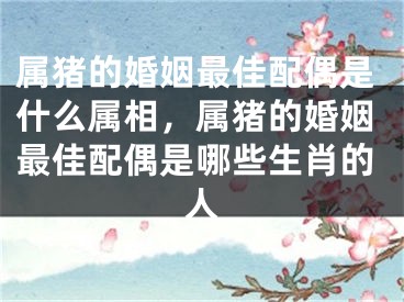 属猪的婚姻最佳配偶是什么属相，属猪的婚姻最佳配偶是哪些生肖的人