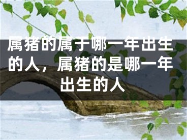 属猪的属于哪一年出生的人，属猪的是哪一年出生的人