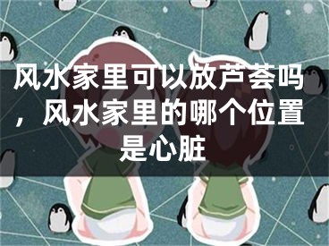 风水家里可以放芦荟吗，风水家里的哪个位置是心脏