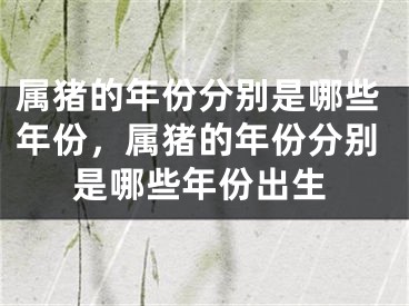 属猪的年份分别是哪些年份，属猪的年份分别是哪些年份出生