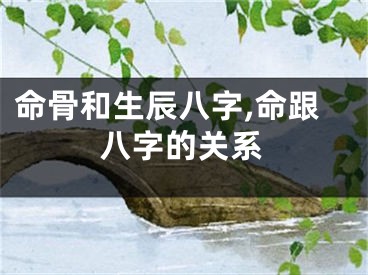 命骨和生辰八字,命跟八字的关系