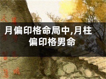 月偏印格命局中,月柱偏印格男命