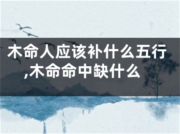 木命人应该补什么五行,木命命中缺什么