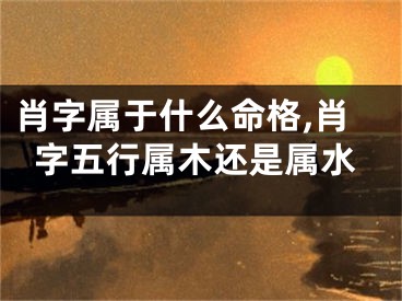 肖字属于什么命格,肖字五行属木还是属水