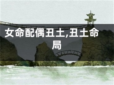 女命配偶丑土,丑土命局