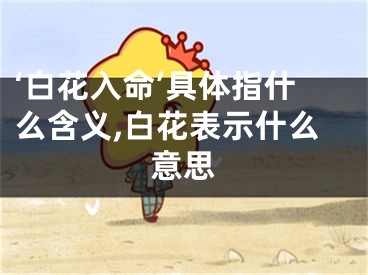 ‘白花入命’具体指什么含义,白花表示什么意思