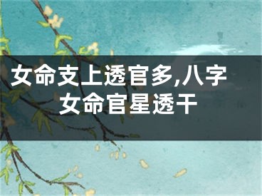 女命支上透官多,八字女命官星透干