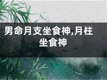男命月支坐食神,月柱坐食神