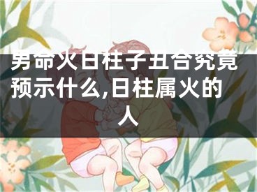 男命火日柱子丑合究竟预示什么,日柱属火的人