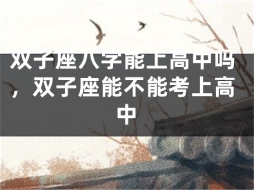 双子座八字能上高中吗，双子座能不能考上高中