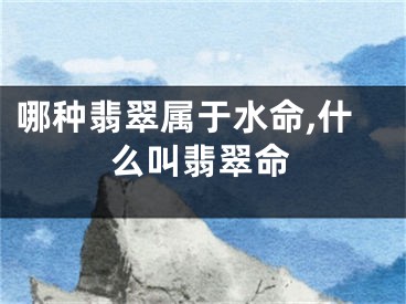 哪种翡翠属于水命,什么叫翡翠命