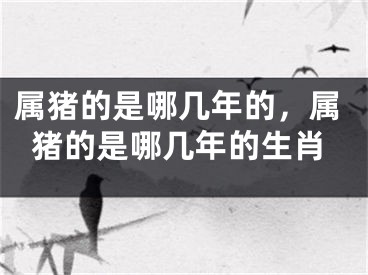 属猪的是哪几年的，属猪的是哪几年的生肖