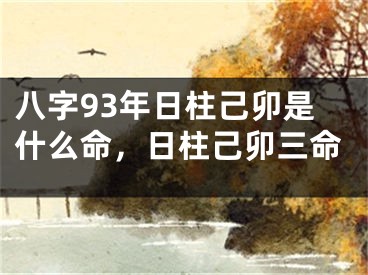 八字93年日柱己卯是什么命，日柱己卯三命
