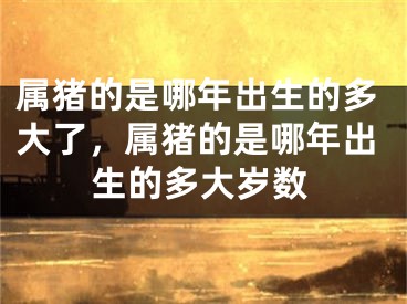 属猪的是哪年出生的多大了，属猪的是哪年出生的多大岁数