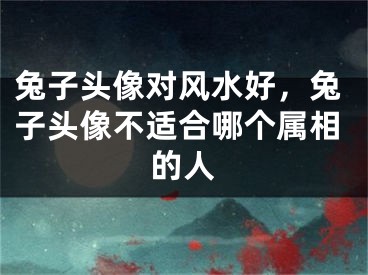 兔子头像对风水好，兔子头像不适合哪个属相的人