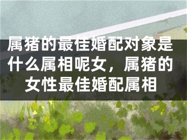 属猪的最佳婚配对象是什么属相呢女，属猪的女性最佳婚配属相