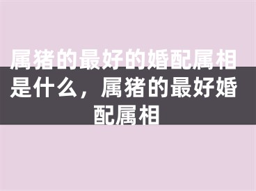 属猪的最好的婚配属相是什么，属猪的最好婚配属相