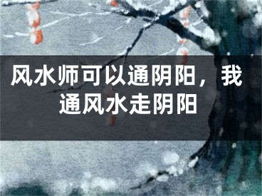 风水师可以通阴阳，我通风水走阴阳