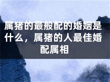 属猪的最般配的婚姻是什么，属猪的人最佳婚配属相