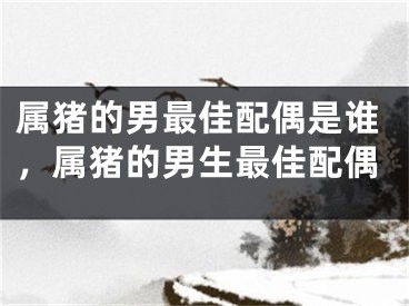 属猪的男最佳配偶是谁，属猪的男生最佳配偶