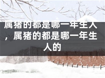 属猪的都是哪一年生人，属猪的都是哪一年生人的