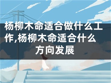 杨柳木命适合做什么工作,杨柳木命适合什么方向发展