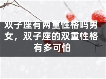 双子座有两重性格吗男女，双子座的双重性格有多可怕