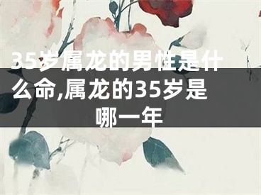 35岁属龙的男性是什么命,属龙的35岁是哪一年