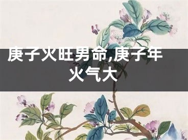 庚子火旺男命,庚子年火气大