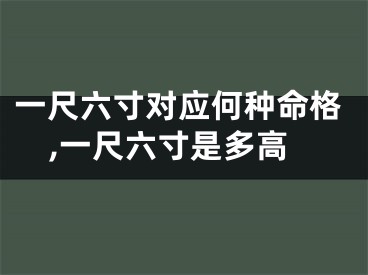 一尺六寸对应何种命格,一尺六寸是多高