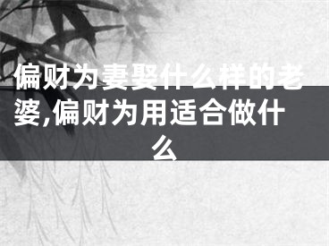 偏财为妻娶什么样的老婆,偏财为用适合做什么