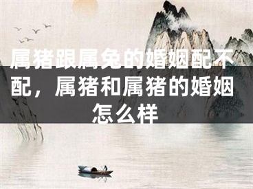 属猪跟属兔的婚姻配不配，属猪和属猪的婚姻怎么样