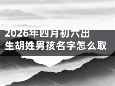 2026年四月初六出生胡姓男孩名字怎么取