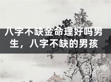 八字不缺金命理好吗男生，八字不缺的男孩
