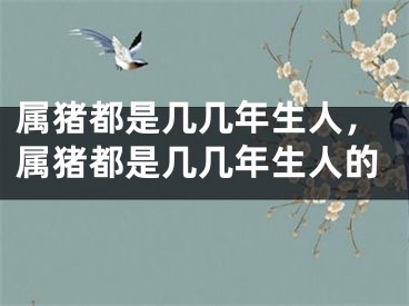 属猪都是几几年生人，属猪都是几几年生人的