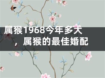 属猴1968今年多大，属猴的最佳婚配