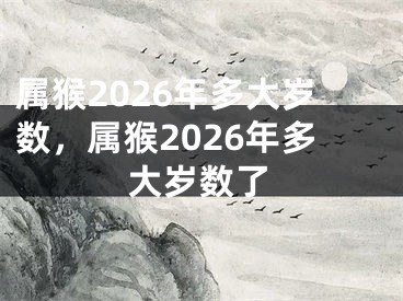 属猴2026年多大岁数，属猴2026年多大岁数了