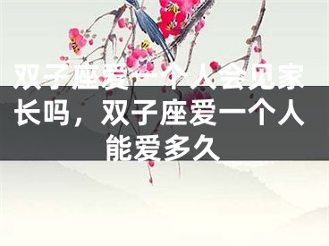 双子座爱一个人会见家长吗，双子座爱一个人能爱多久