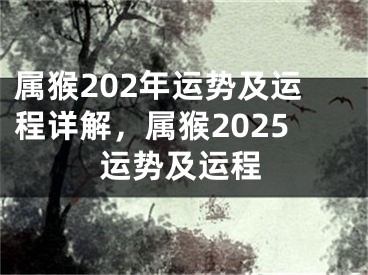 属猴202年运势及运程详解，属猴2025运势及运程
