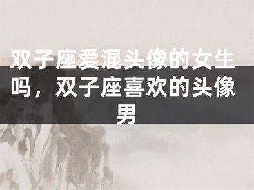 双子座爱混头像的女生吗，双子座喜欢的头像男
