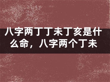 八字两丁丁未丁亥是什么命,八字两个丁未