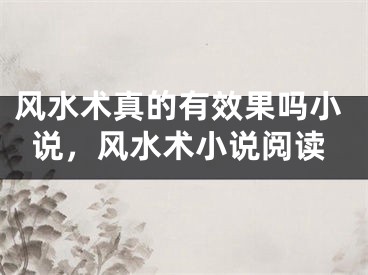 风水术真的有效果吗小说，风水术小说阅读