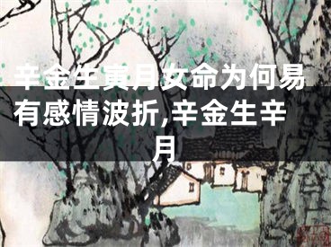 辛金生寅月女命为何易有感情波折,辛金生辛月
