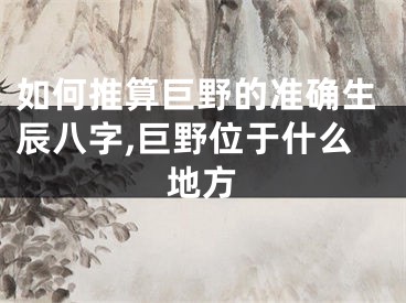 如何推算巨野的准确生辰八字,巨野位于什么地方